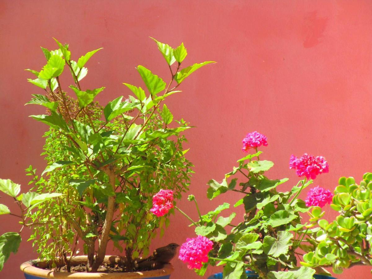 Casa Mogador Leilighet Essaouira Eksteriør bilde