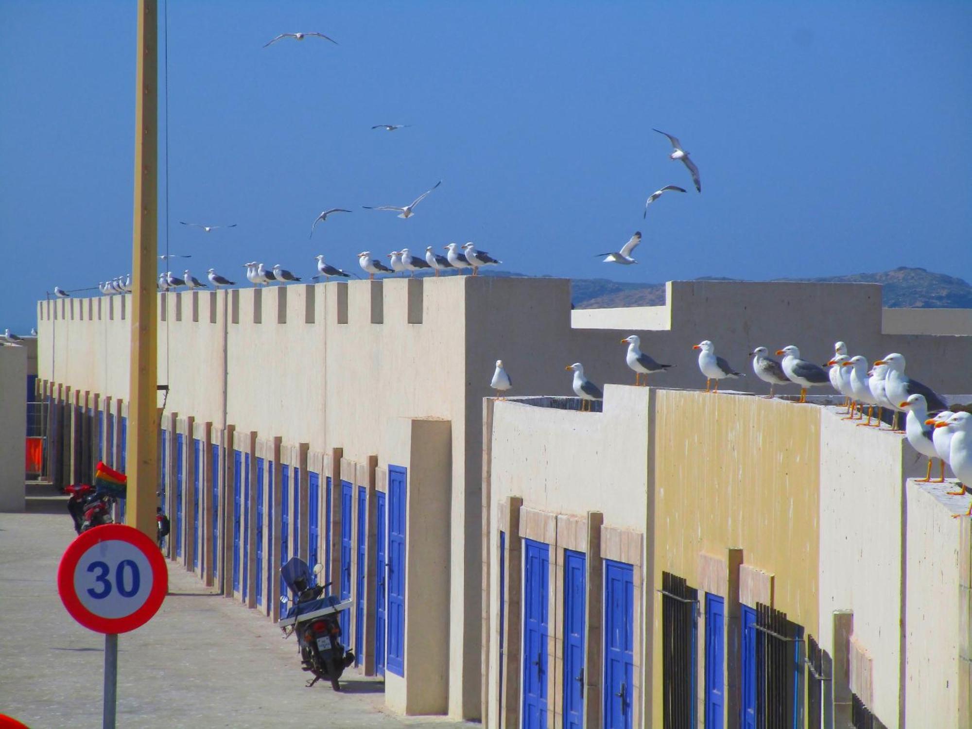 Casa Mogador Leilighet Essaouira Eksteriør bilde